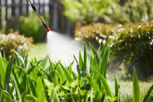 Tamper-Resistant Bait Stations for Rodents in Eidson Road