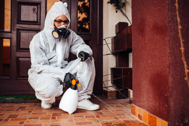 Attic and Crawl Space Rodent Treatment in Eidson Road